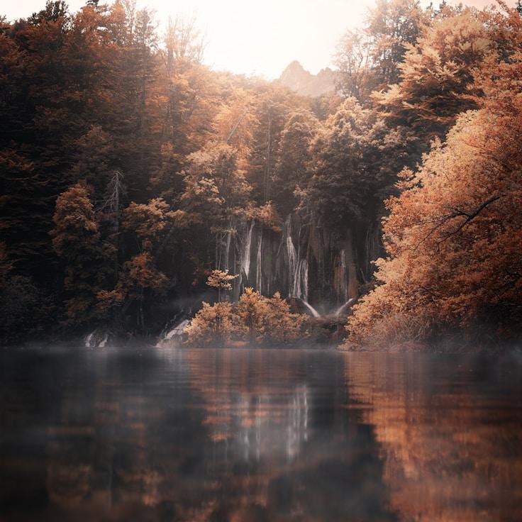 Protected areas overview